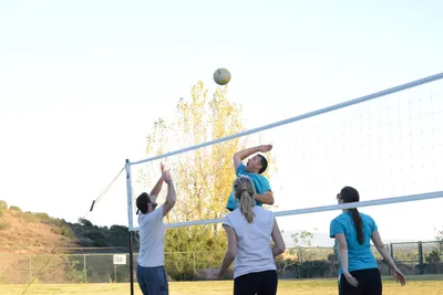 DSC_5294 (Large).JPG